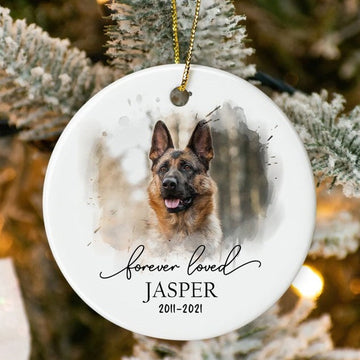 Custom Dog Photo Ornament Pet Memorial Gifts