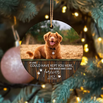 Custom Pet Memorial Ornament Personalized Dog/Cat Memorial Ornament